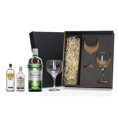Kit Gin Tanqueray com taças