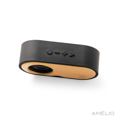 Caixa de som portátil