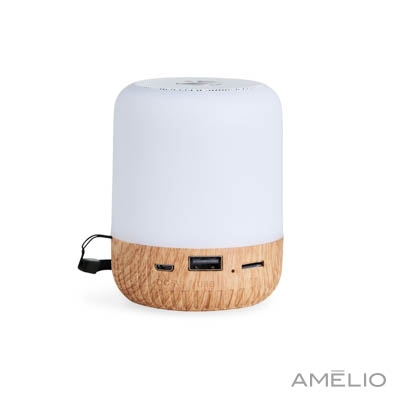 Caixa de Som Multimídia